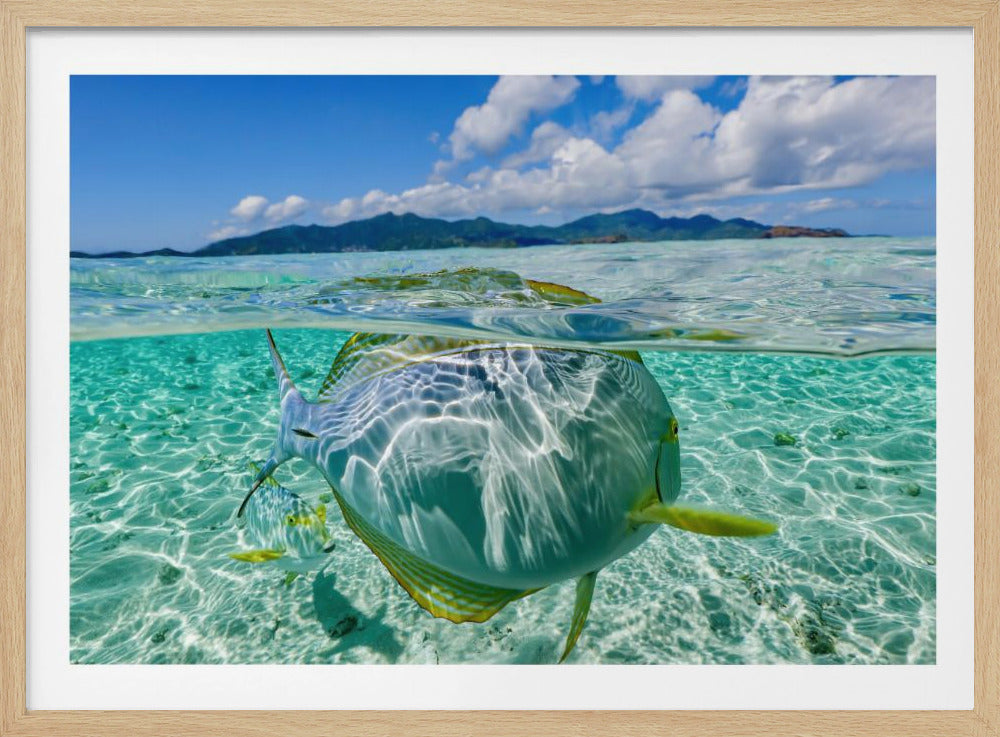 Schwimmbad | Poster