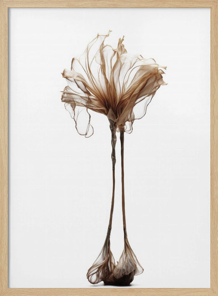 Zarte Laune | Poster