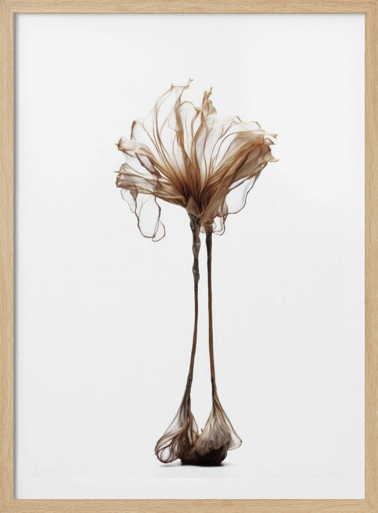 Zarte Laune | Poster