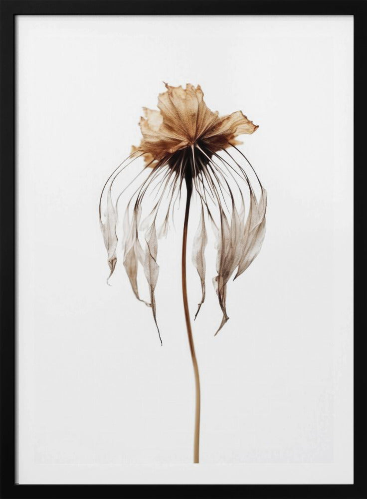 Verblasste Eleganz | Poster
