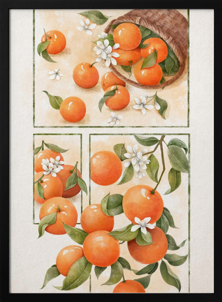Orangenblüte | Poster