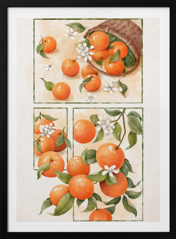 Orangenblüte | Poster