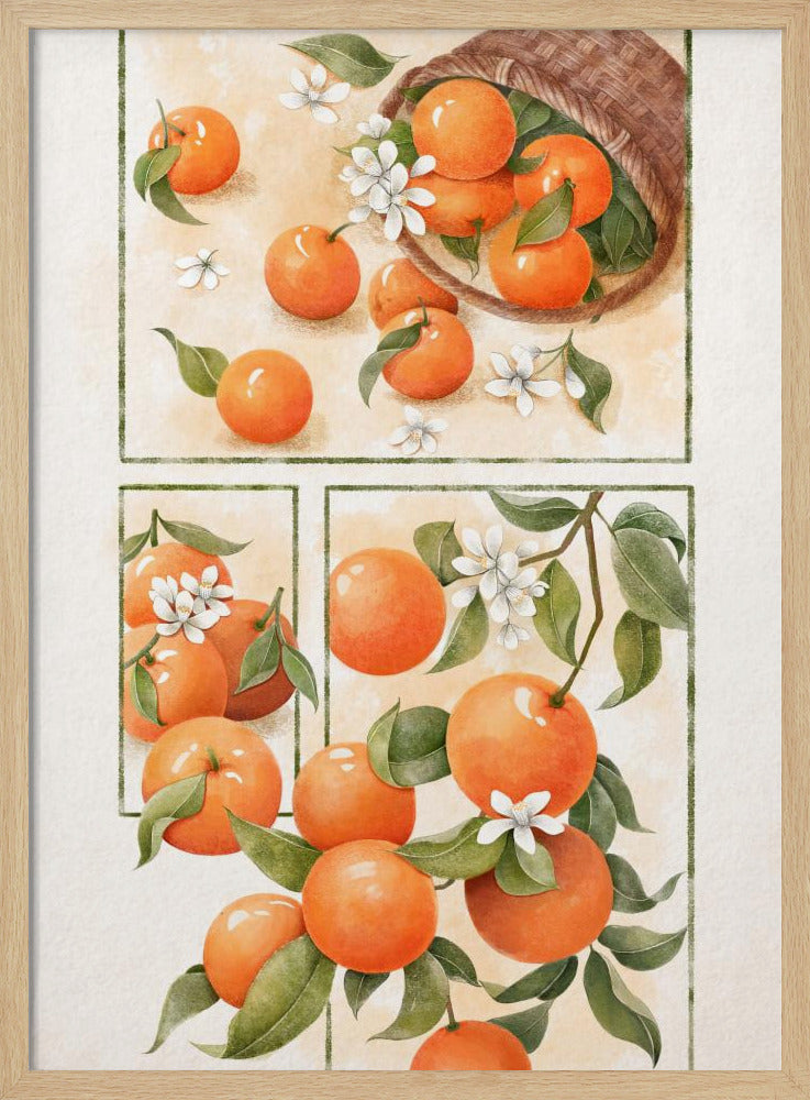 Orangenblüte | Poster