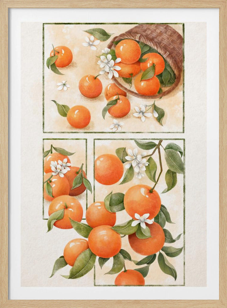 Orangenblüte | Poster
