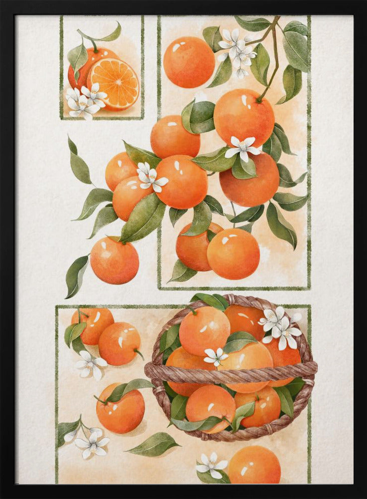 Orangenblüte | Poster