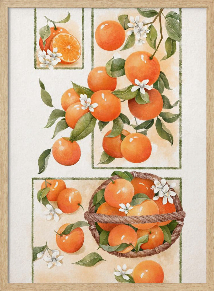Orangenblüte | Poster