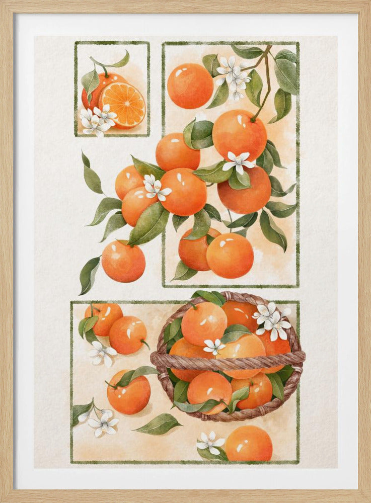 Orangenblüte | Poster