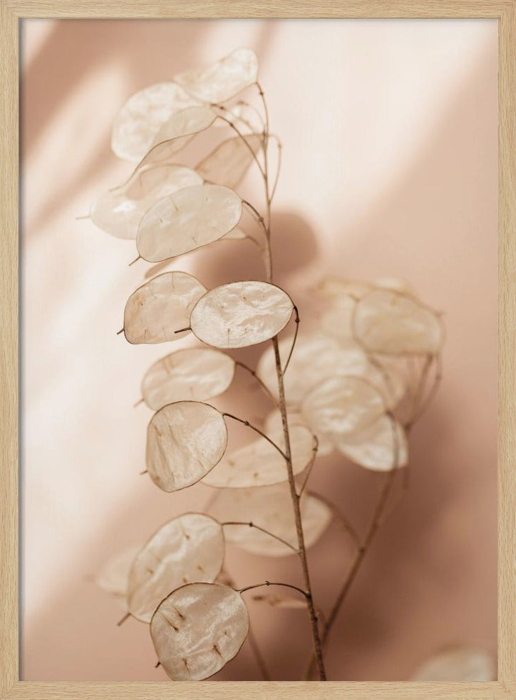 Letzter Sommer 12 | Poster