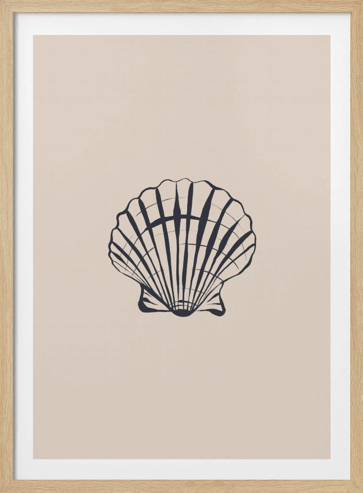 Muschel | Poster