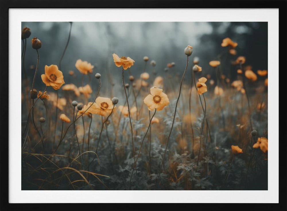 Goldener Mohntraum | Poster