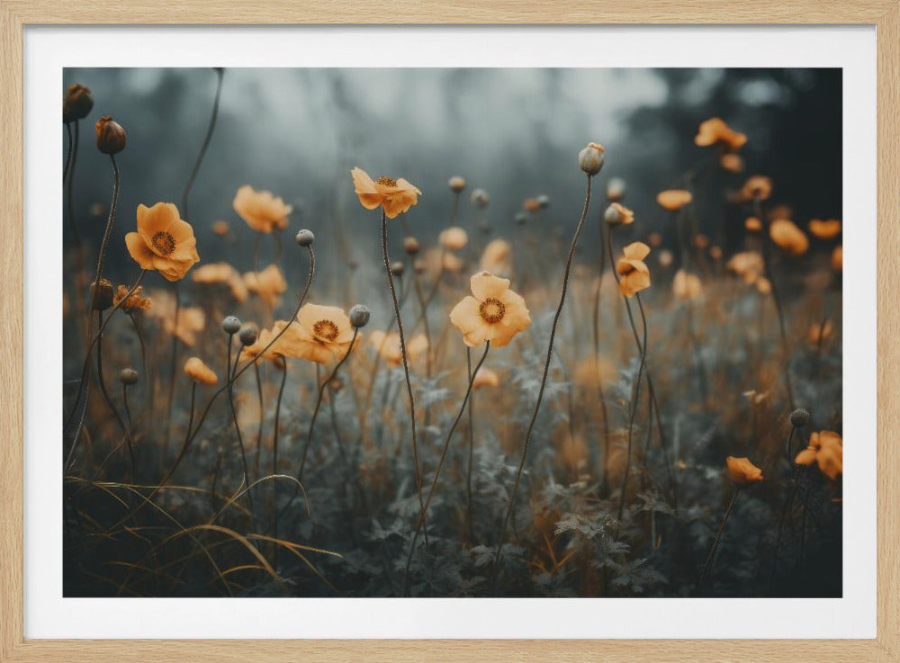 Goldener Mohntraum | Poster