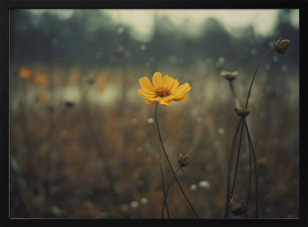 Einsame Bloomers | Poster