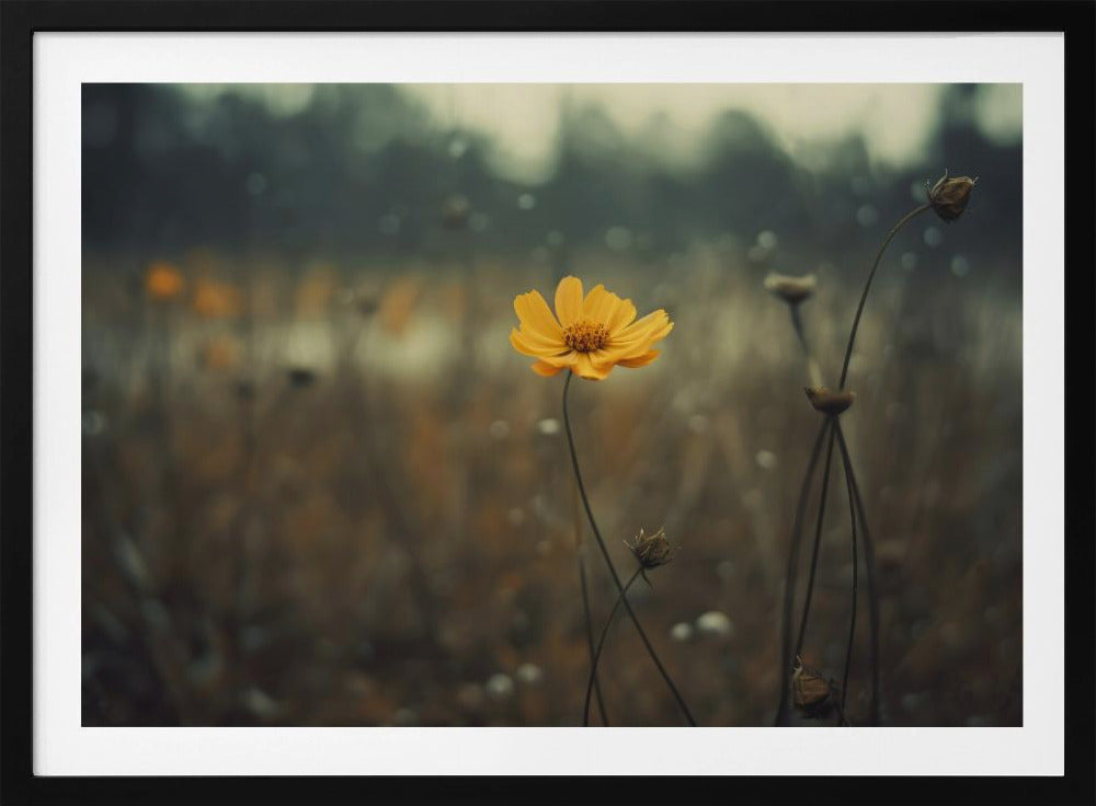 Einsame Bloomers | Poster