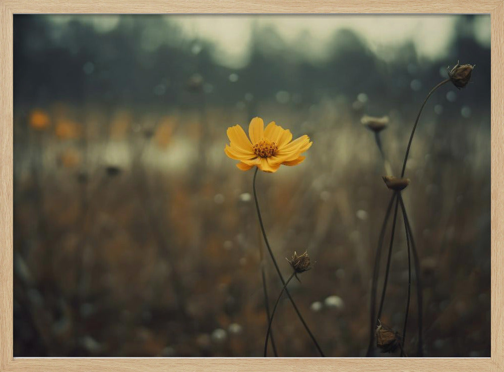 Einsame Bloomers | Poster