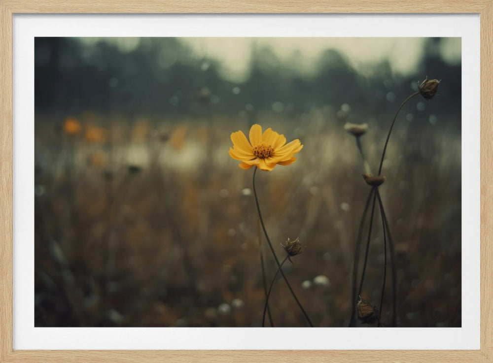 Einsame Bloomers | Poster