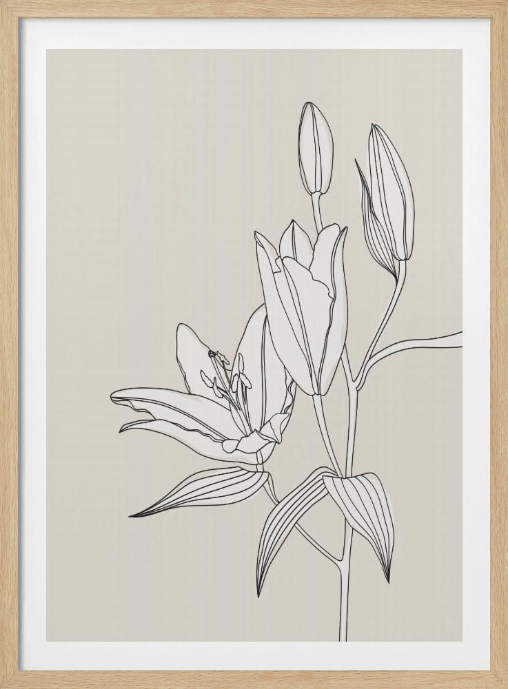 Line Art Lilien in Beige | Poster