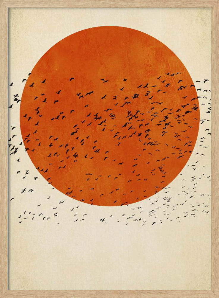 Vögel in der Sonne | Poster