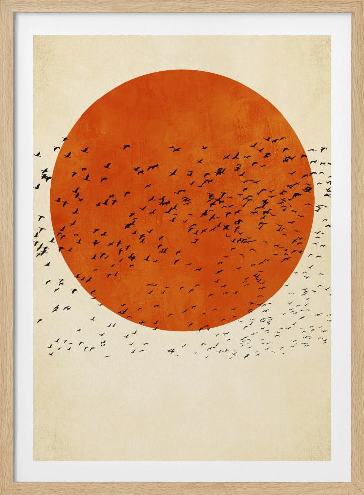 Vögel in der Sonne | Poster