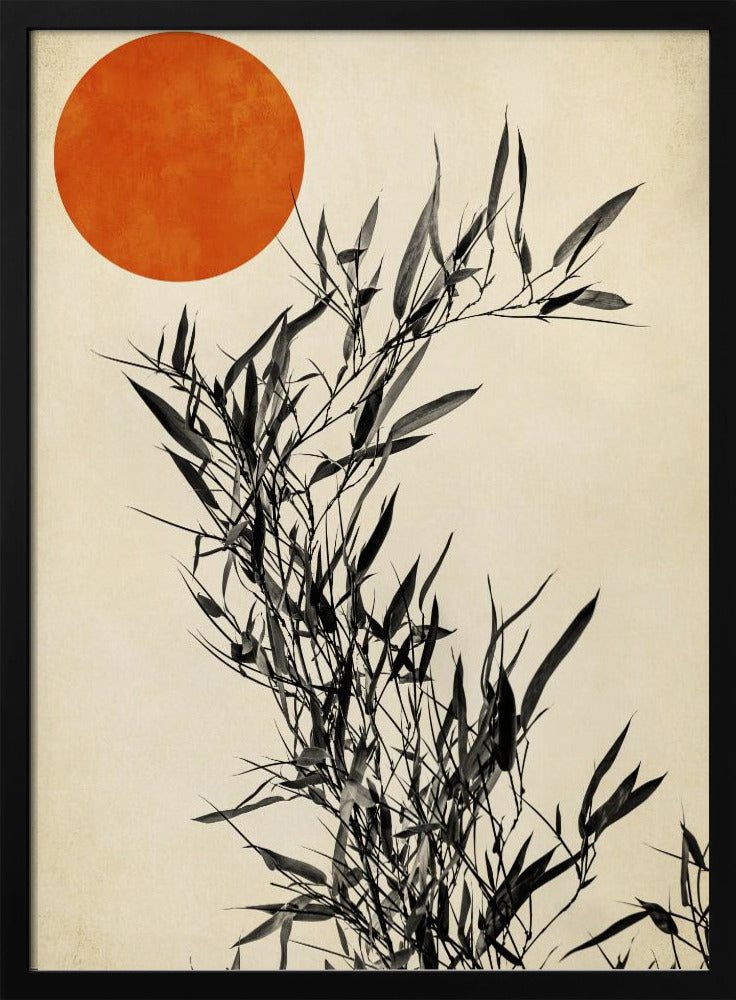 Japanische Birke | Poster