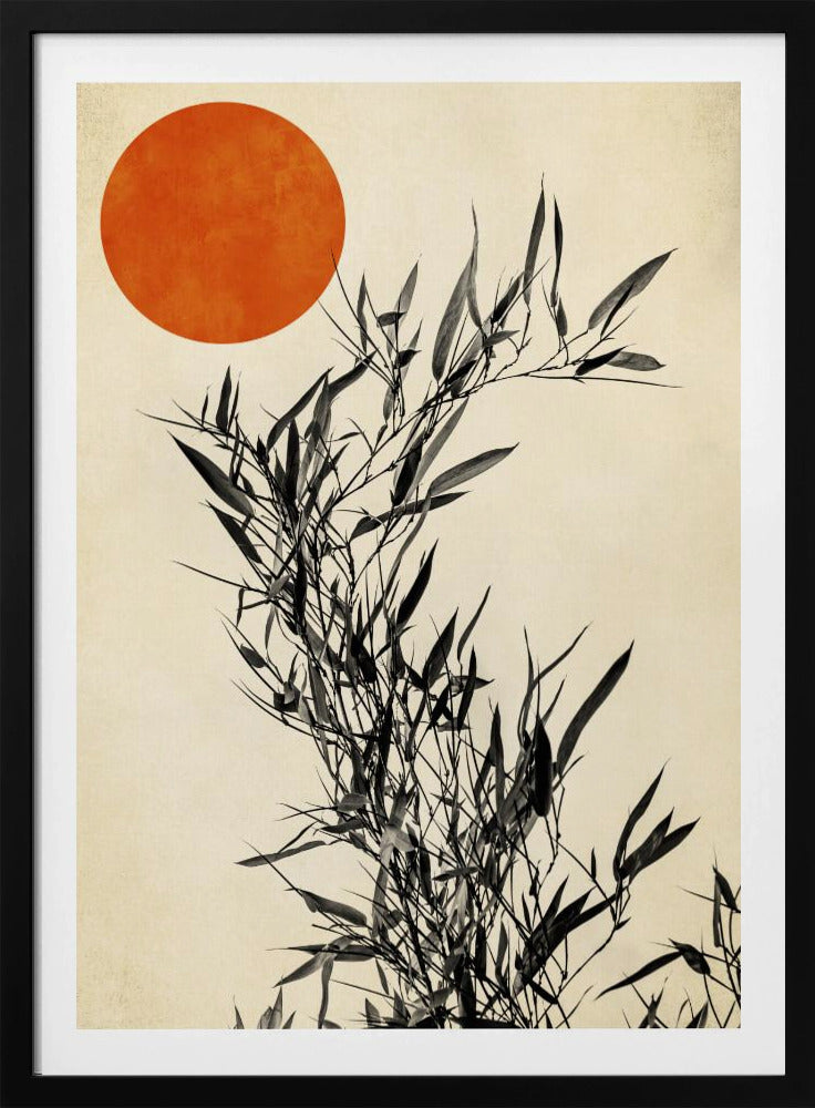 Japanische Birke | Poster