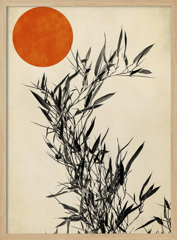 Japanische Birke | Poster