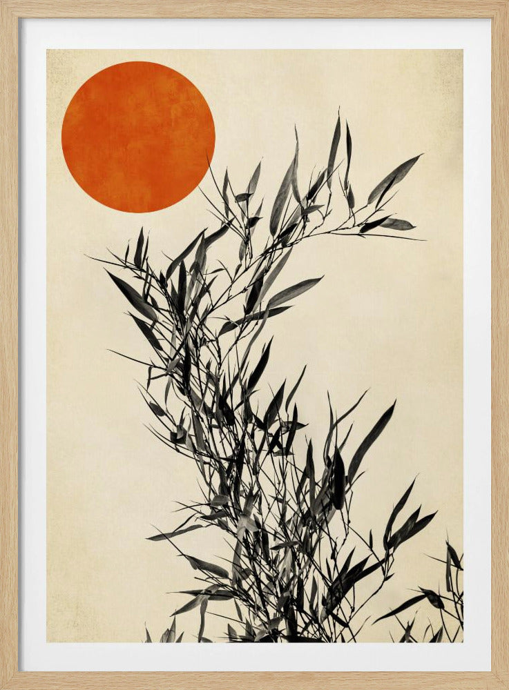 Japanische Birke | Poster