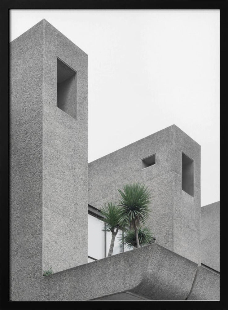 Einsame Palmen Nr. 2 | Poster