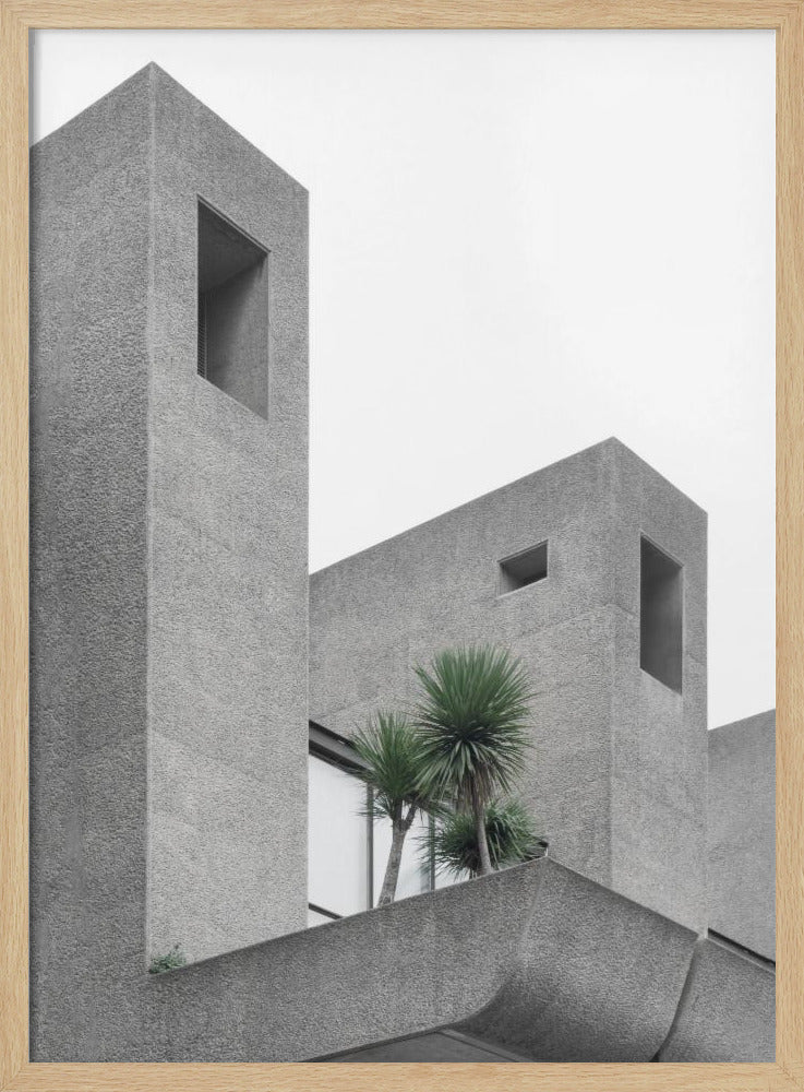 Einsame Palmen Nr. 2 | Poster