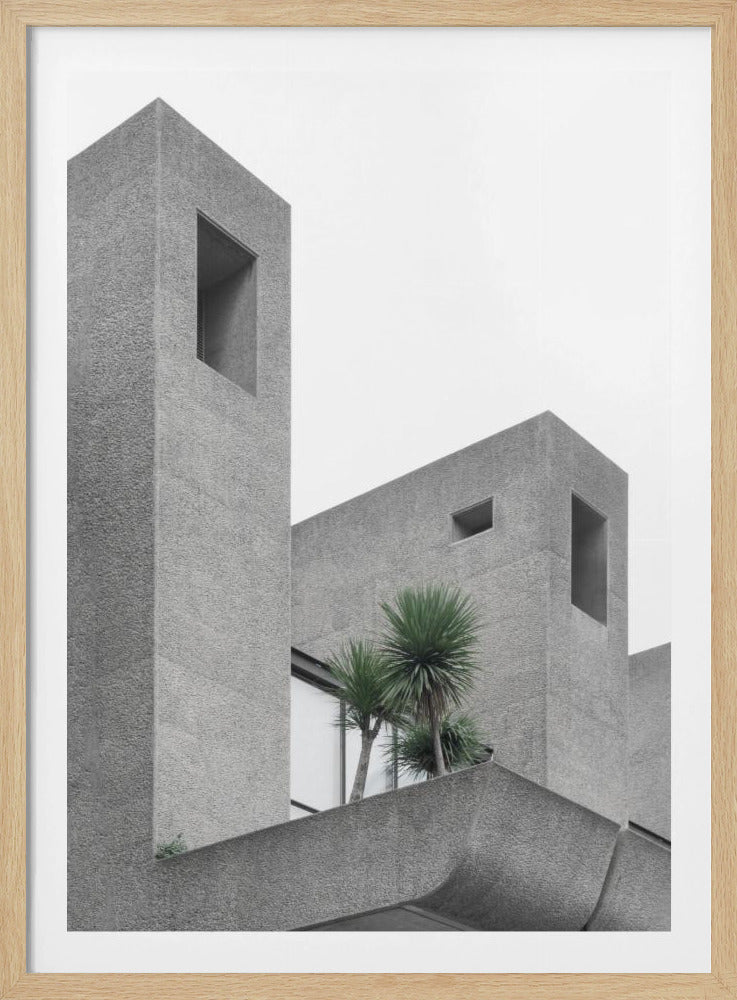 Einsame Palmen Nr. 2 | Poster