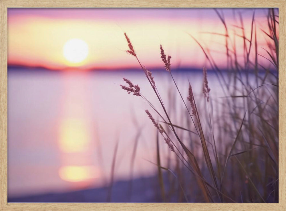 Ruhiges Sonnenuntergangsglühen | Poster