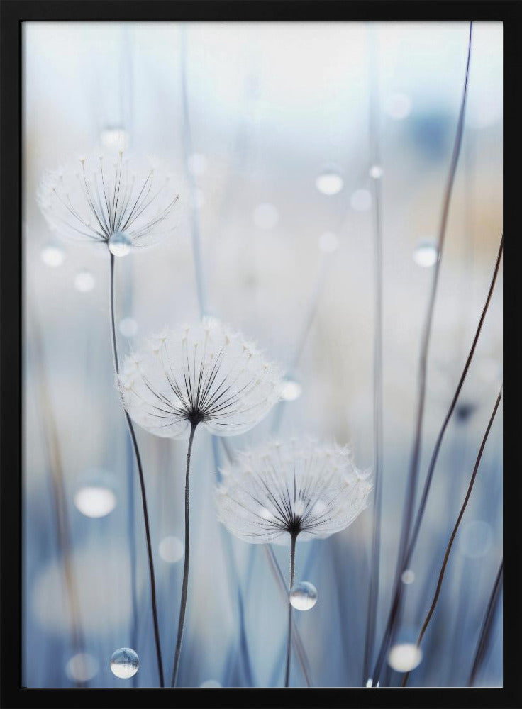 Flüsternde Samen | Poster