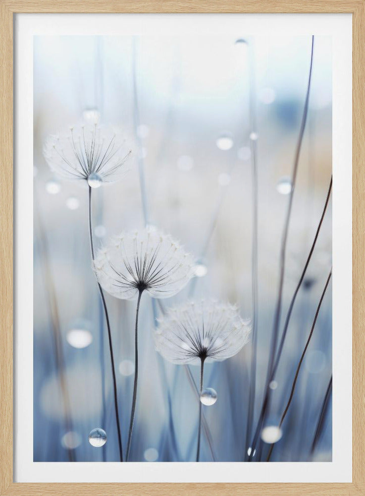 Flüsternde Samen | Poster