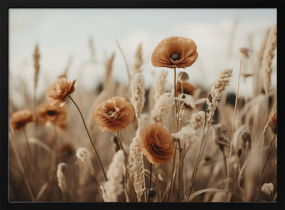 Poppies in Breeze | Poster