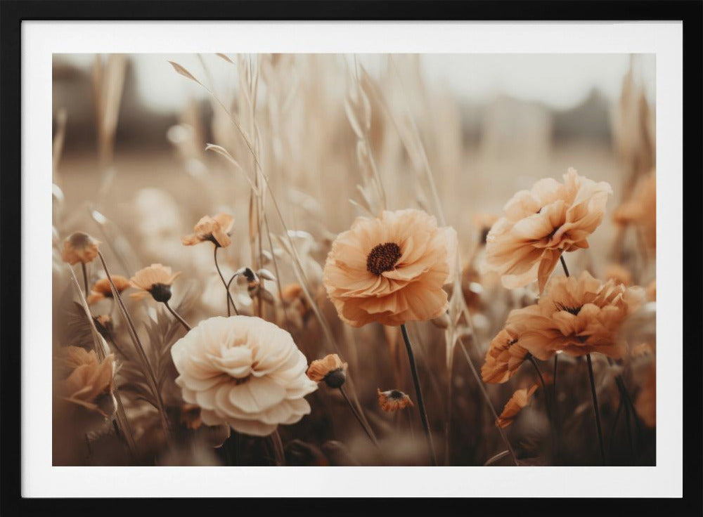 Sepiablüten | Poster