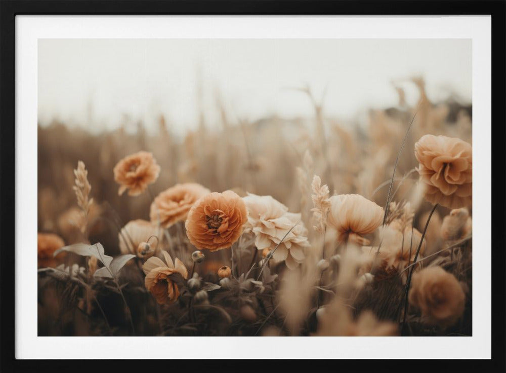 Blütenblätter in Sepia | Poster