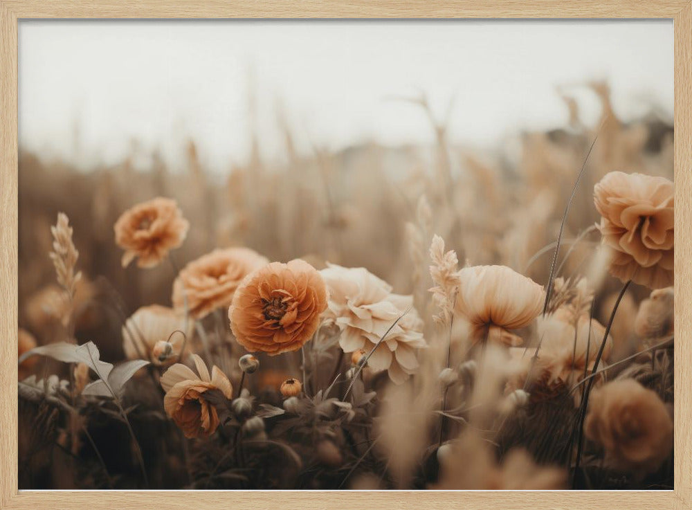 Blütenblätter in Sepia | Poster