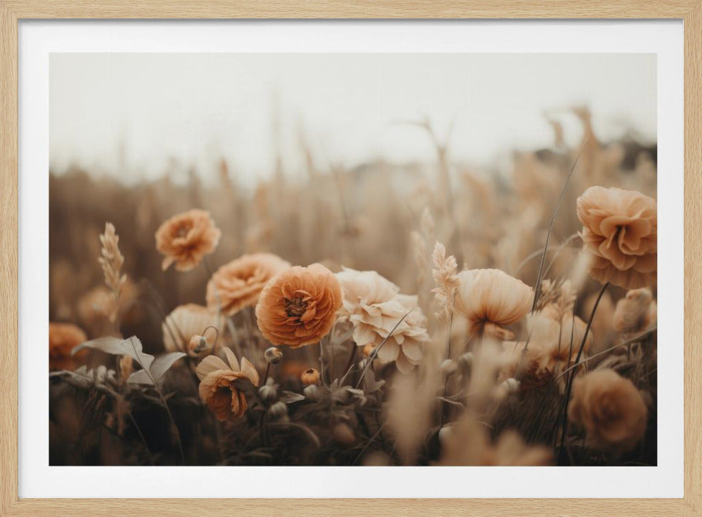 Blütenblätter in Sepia | Poster