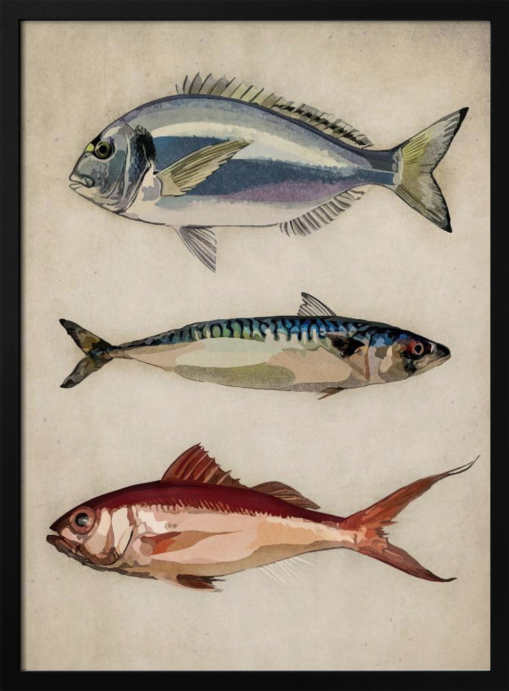 Trio des Meereslebens | Poster