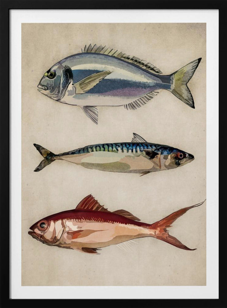 Trio des Meereslebens | Poster