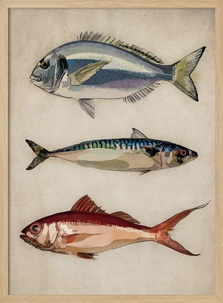 Trio des Meereslebens | Poster