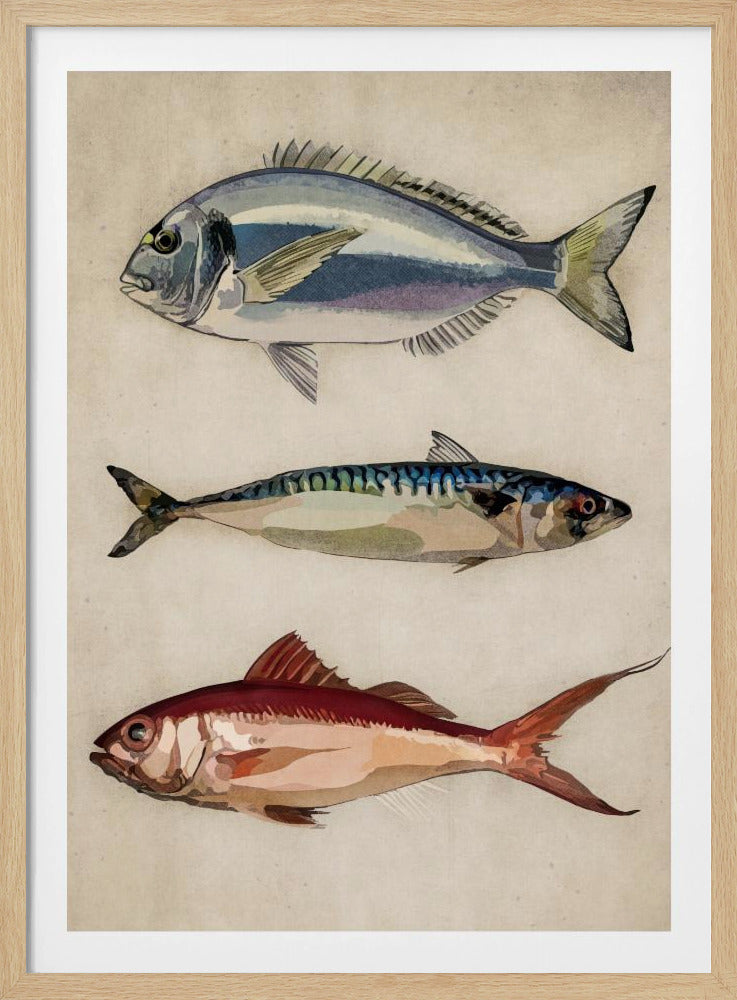 Trio des Meereslebens | Poster