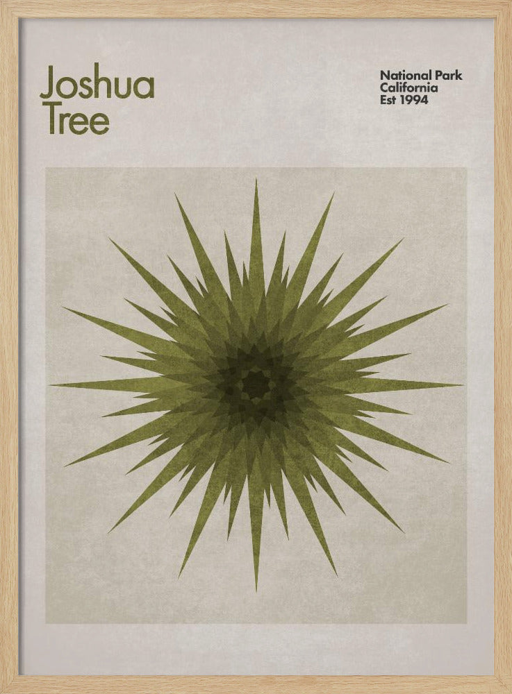 Starburst Flora | Poster