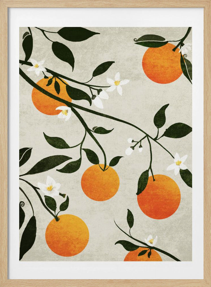 Orangen in Blüte | Poster