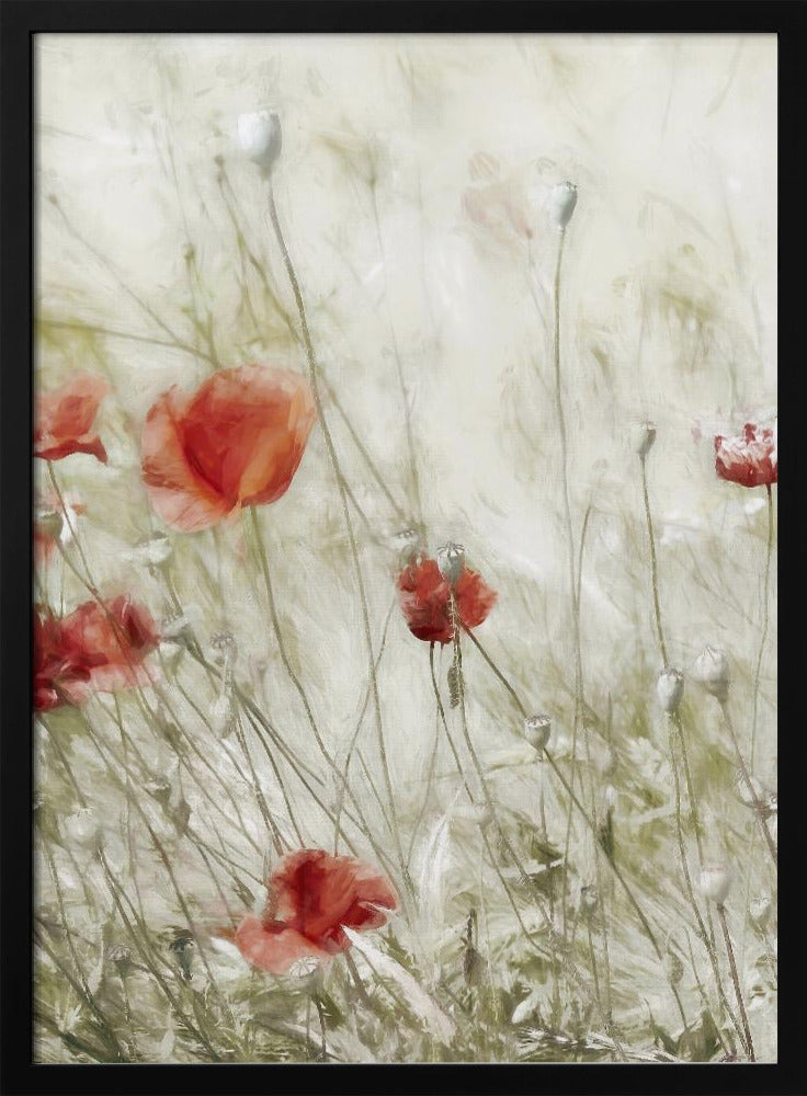 Maisrose | Poster