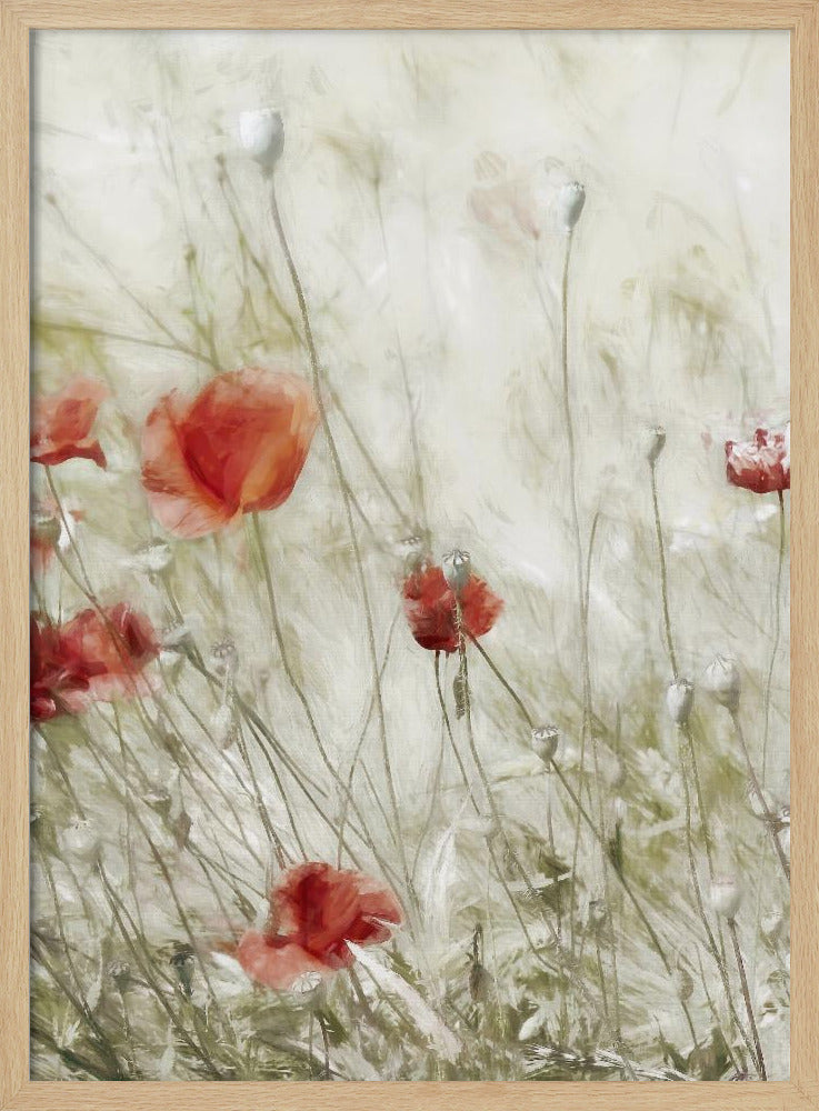 Maisrose | Poster