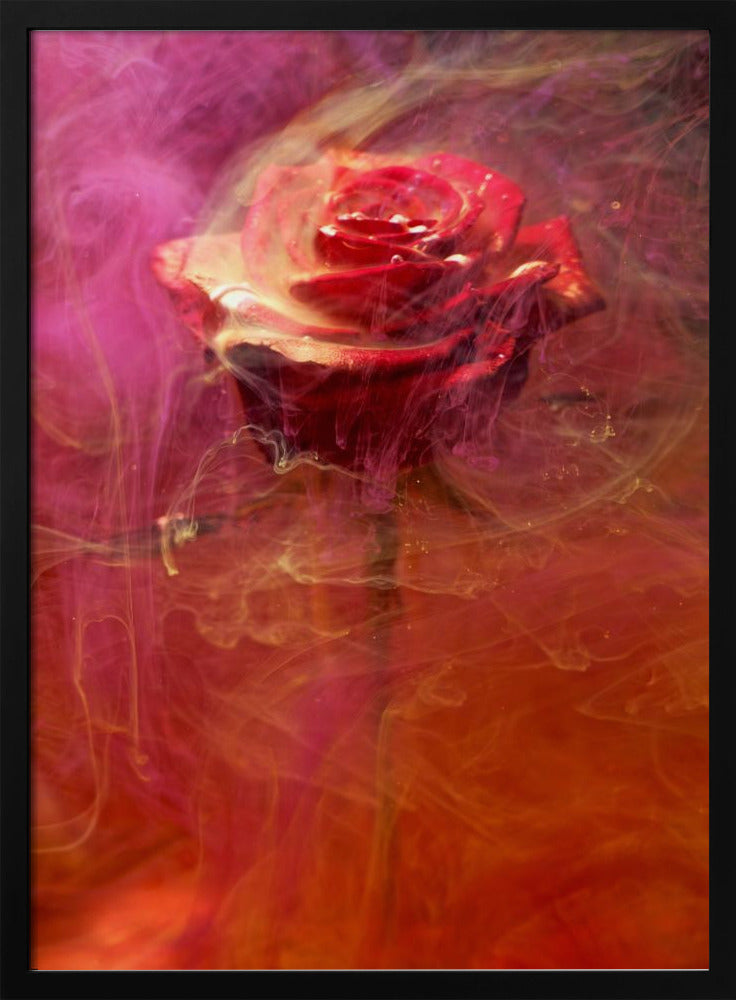 rote Rose und Tinte im Wasser | Poster