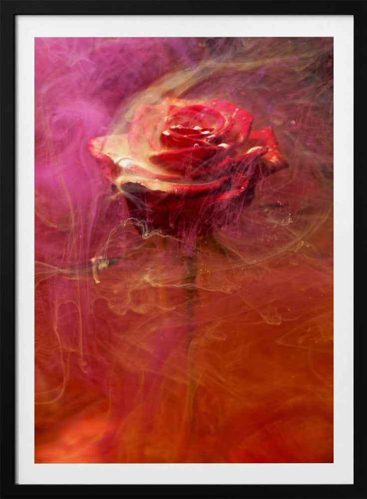 rote Rose und Tinte im Wasser | Poster