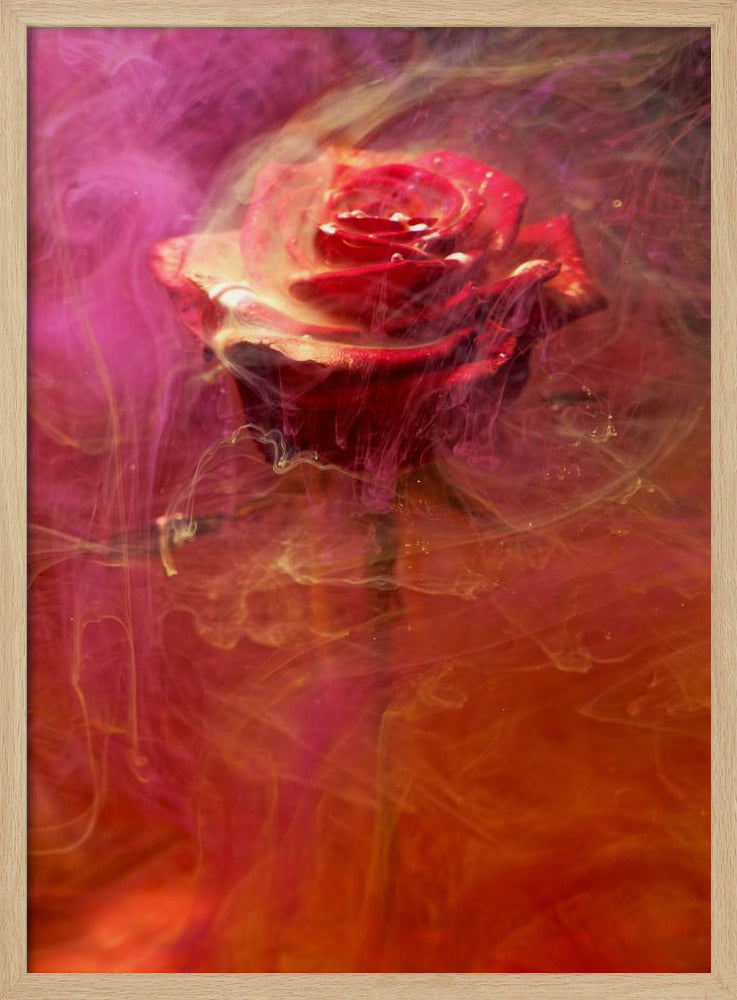 rote Rose und Tinte im Wasser | Poster