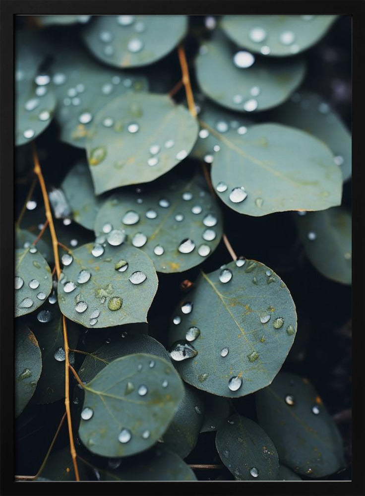 Regengeküsste Blätter | Poster