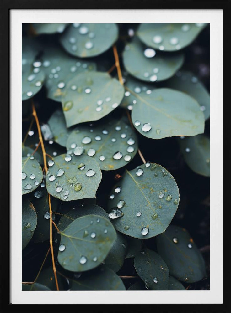 Regengeküsste Blätter | Poster